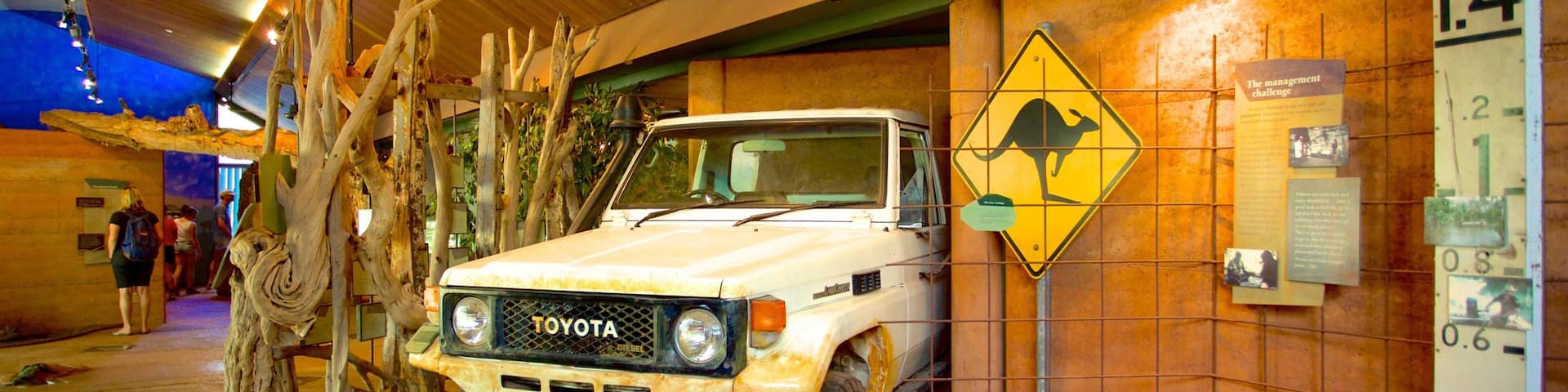 A white Toyota truck parked indoors with a yellow kangaroo crossing sign and a height warning sign on the wall.