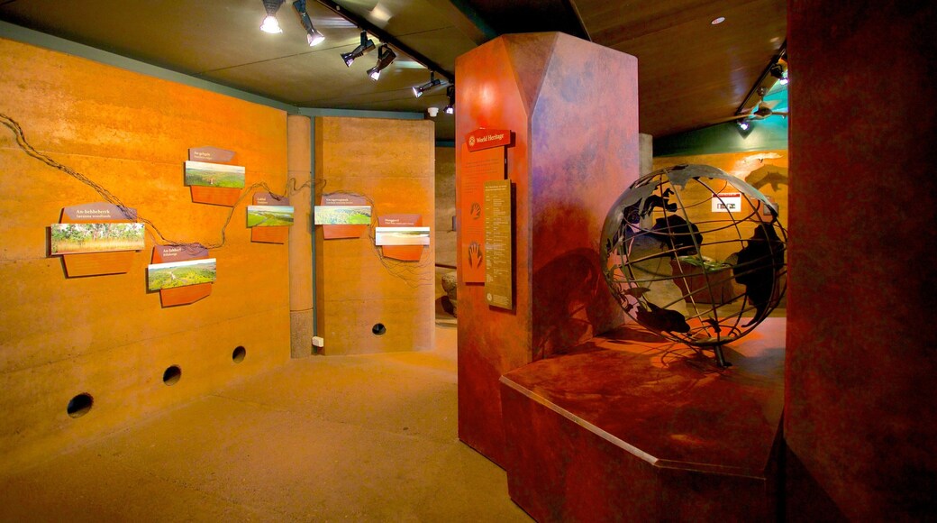 カカドゥ国立公園