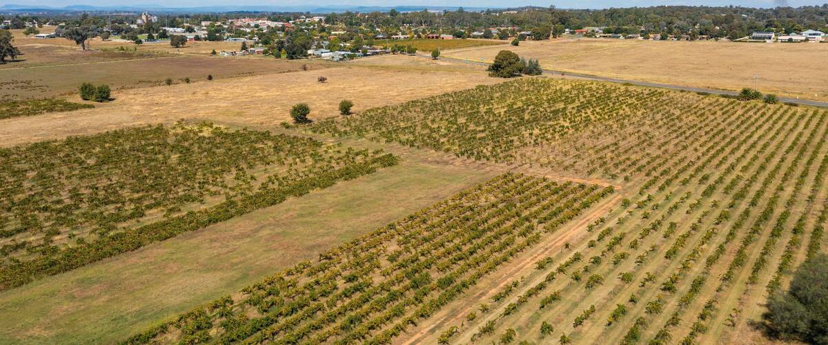 Chambers Rosewood Winery showing landscape views and farmland
