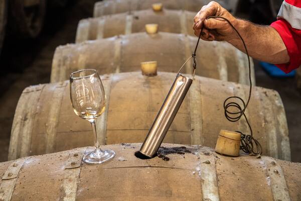 Chambers Rosewood Winery