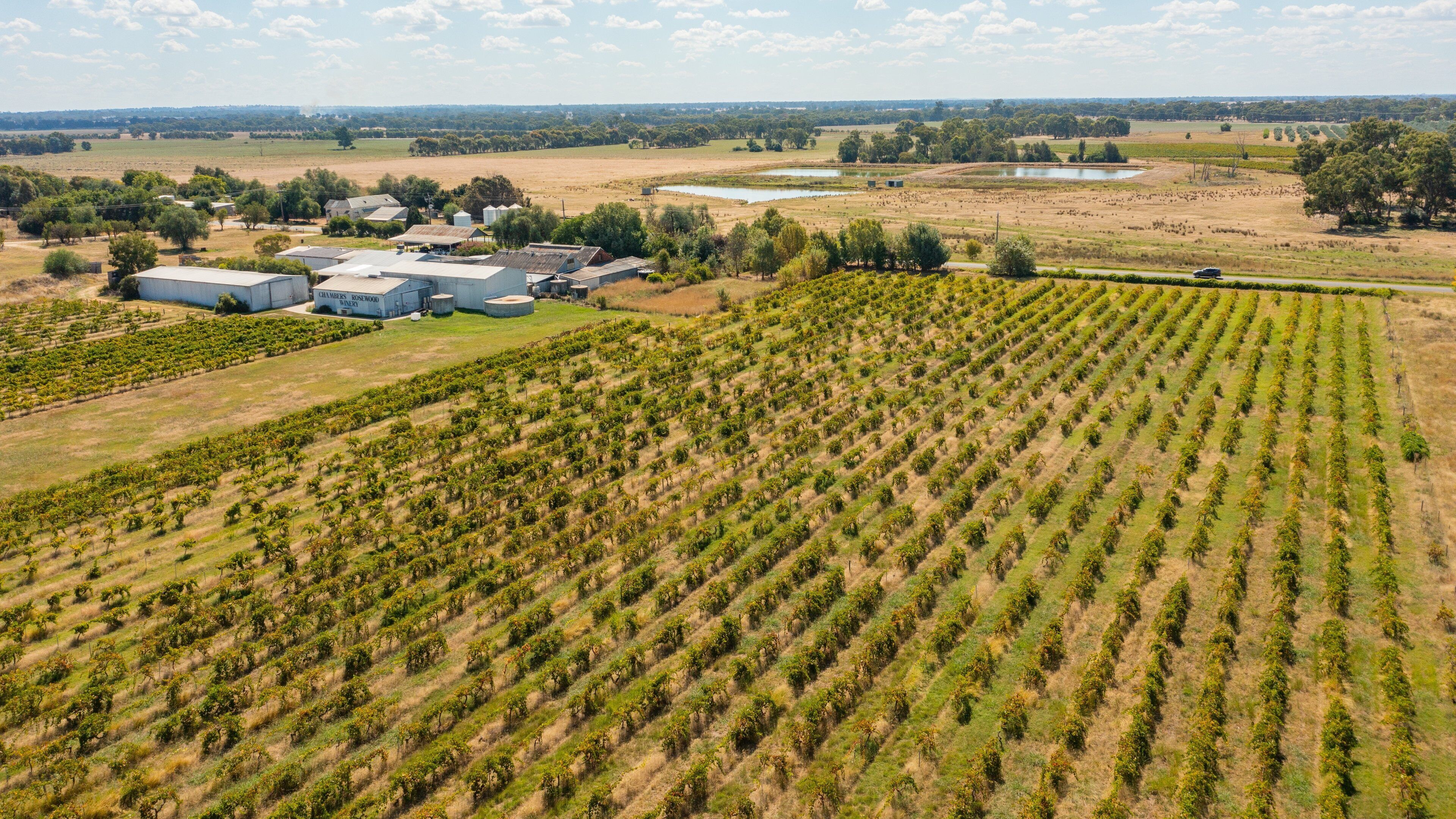 Chambers Rosewood Winery showing farmland and landscape views