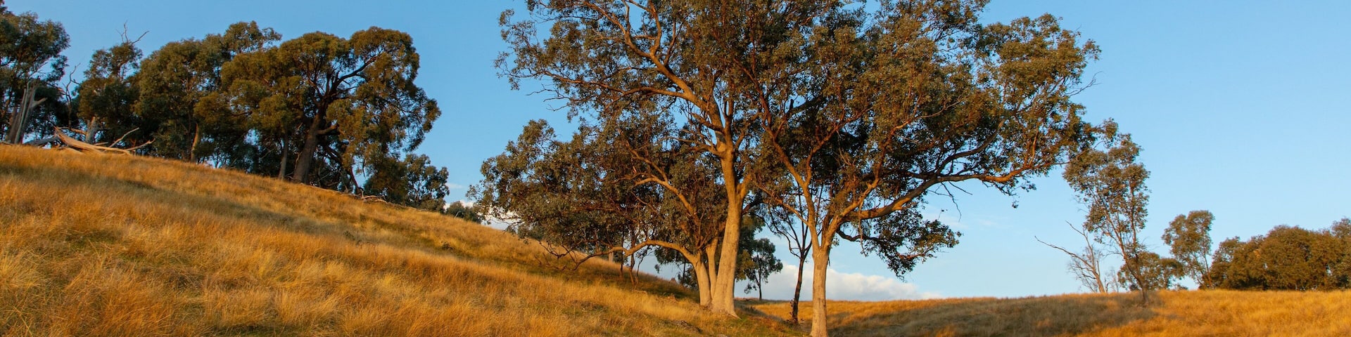 Huon Hill Parklands which includes tranquil scenes