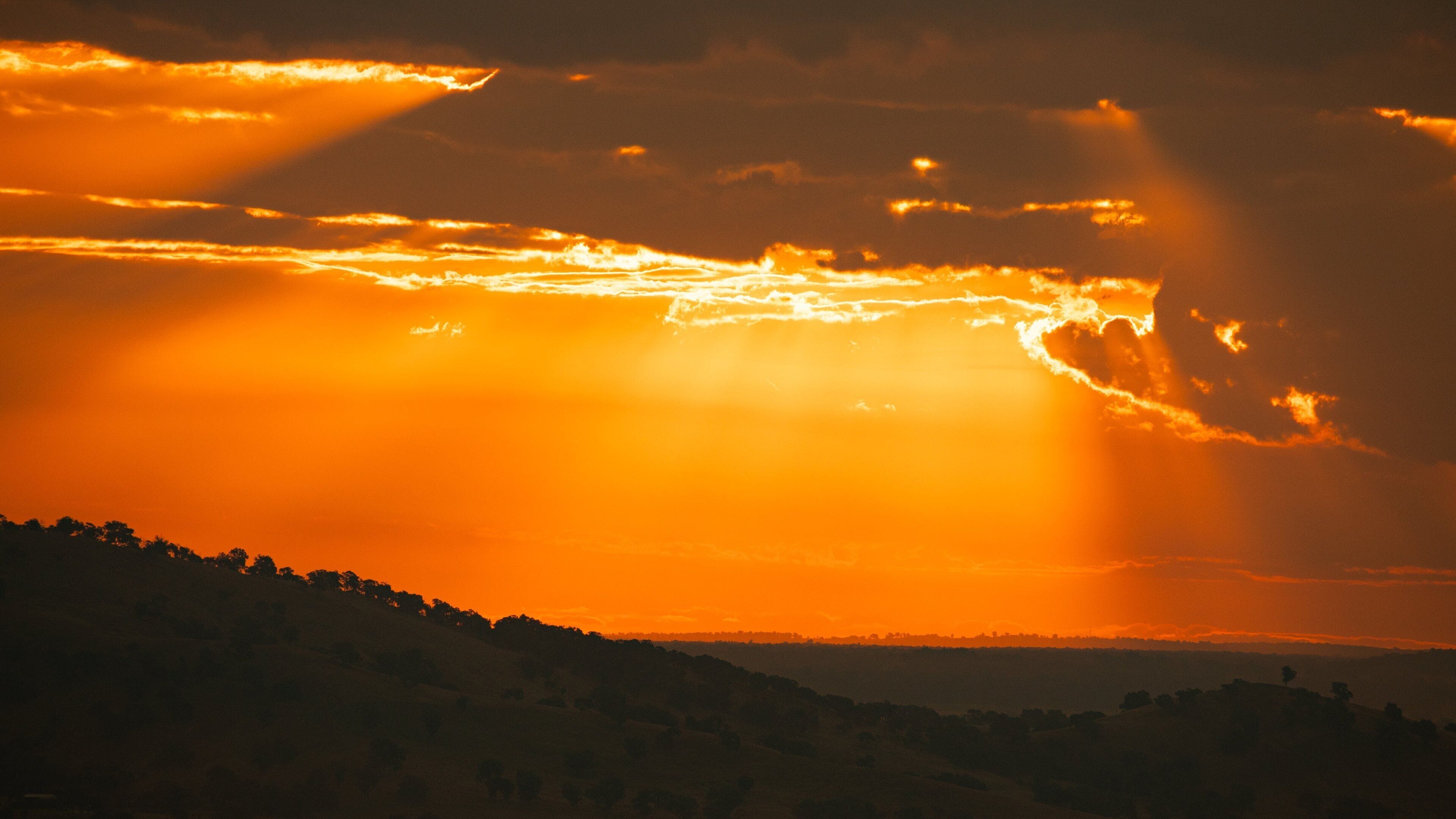 Un coucher de soleil sur un paysage vallonné, avec les silhouettes d’arbres se détachant sur un ciel dégagé.