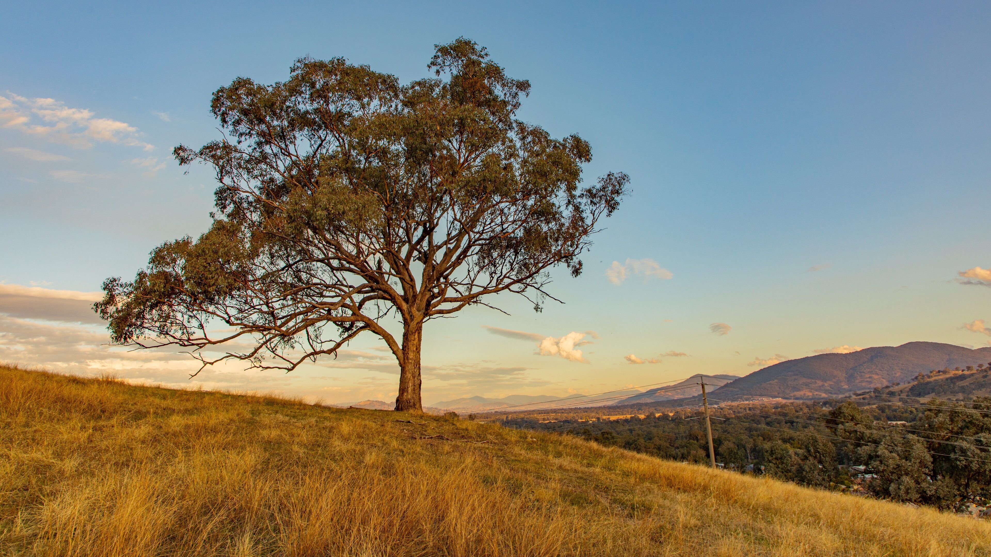 Huon Hill Parklands featuring a sunset and tranquil scenes
