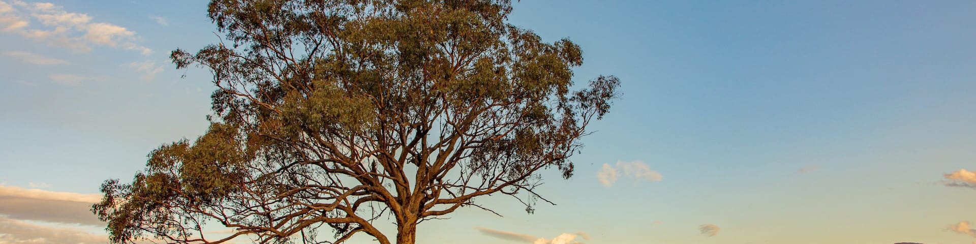 Huon Hill Parklands featuring a sunset and tranquil scenes