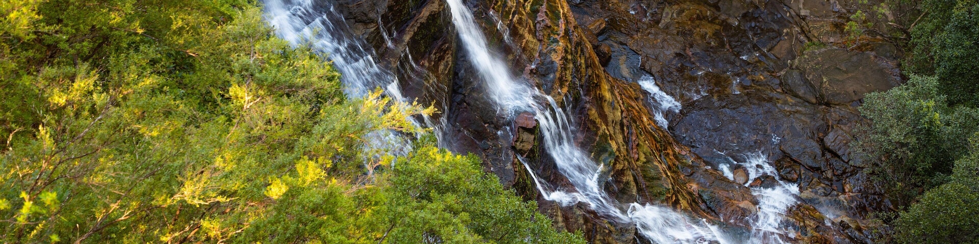 Leura Cascades showing a cascade