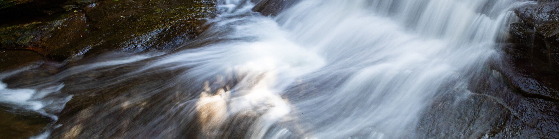 Leura Cascades featuring a river or creek and a cascade
