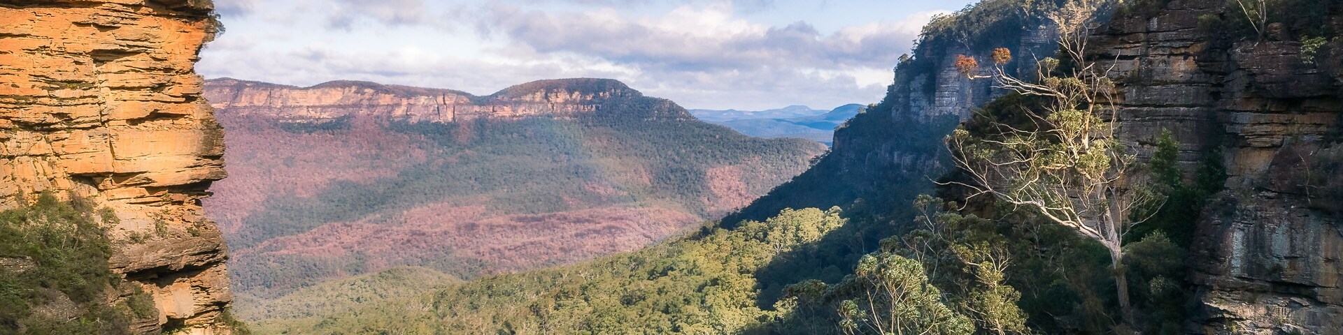 A canyon with steep rock faces and dense forest.