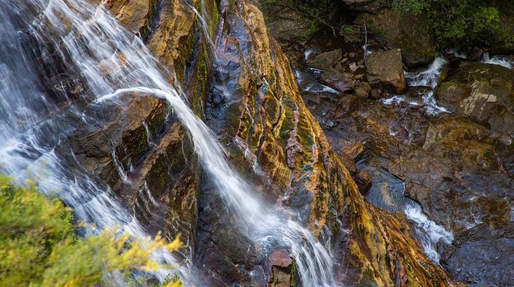 Leura Cascades which includes a waterfall
