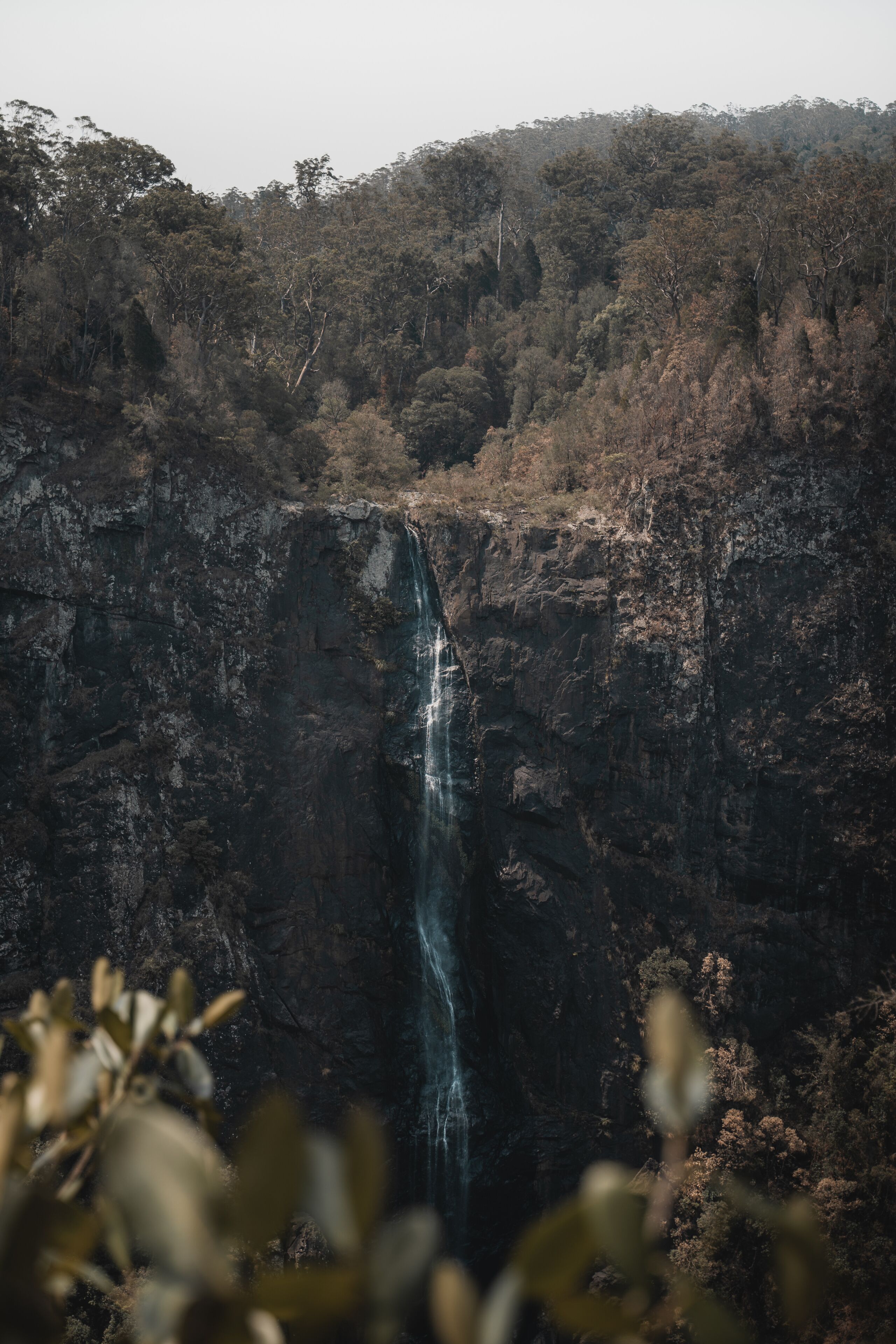 Cascadas Ellenborough