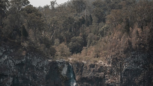 The view of Ellenborough Falls from across the valley at Ellenborough Falls, New South Wales.