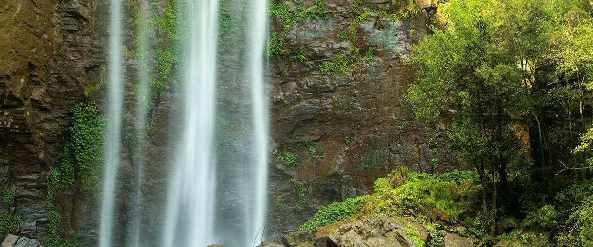 A waterfall cascading down a rocky cliff surrounded by lush greenery.