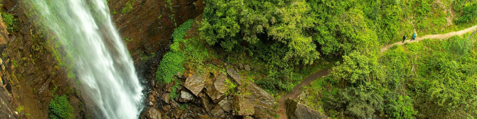 Queen Mary Falls featuring a cascade