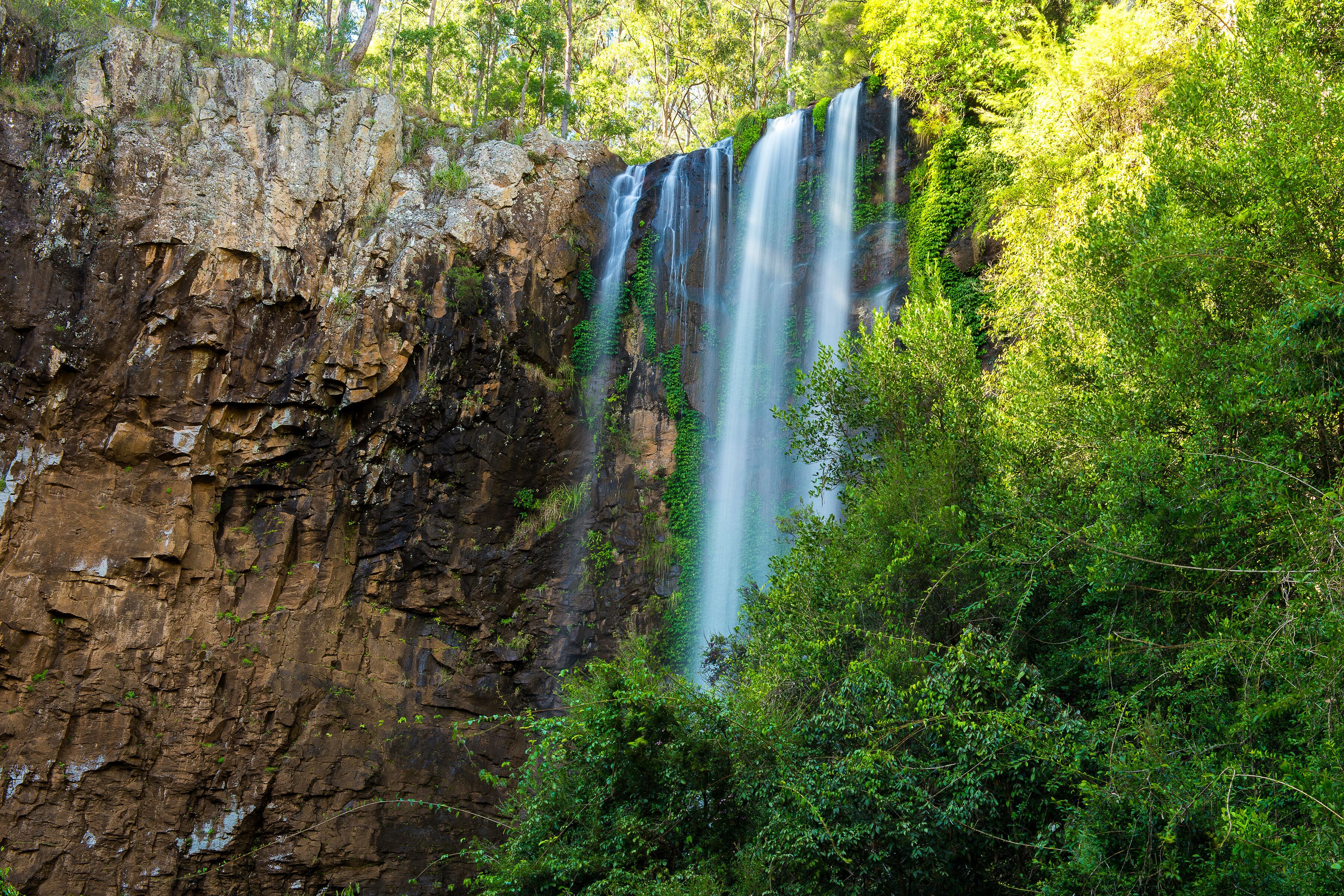 Queen Mary falls located in the Darling Downs region of Queensland, Australia