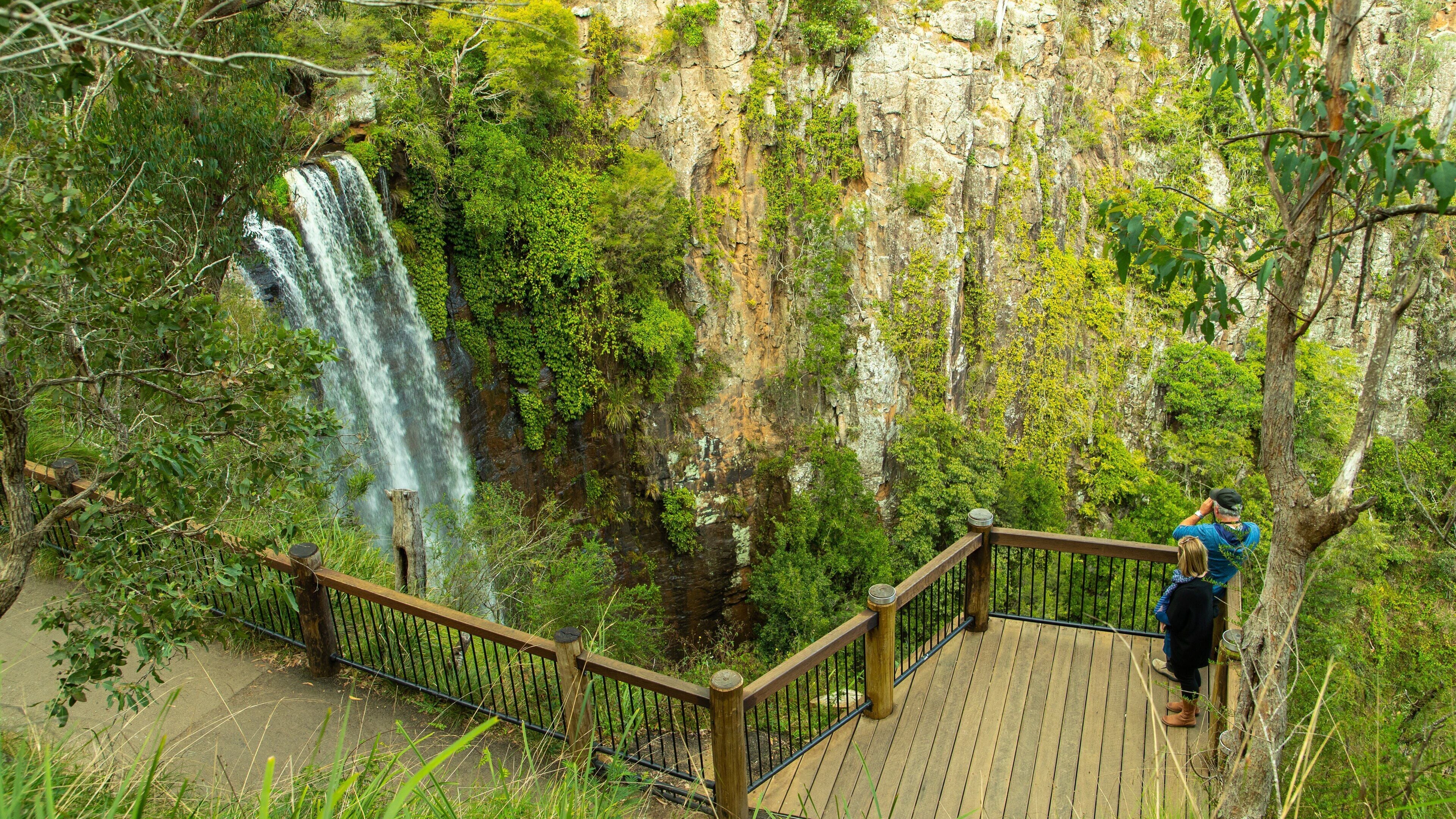 Queen Mary Falls featuring a waterfall and views as well as a couple