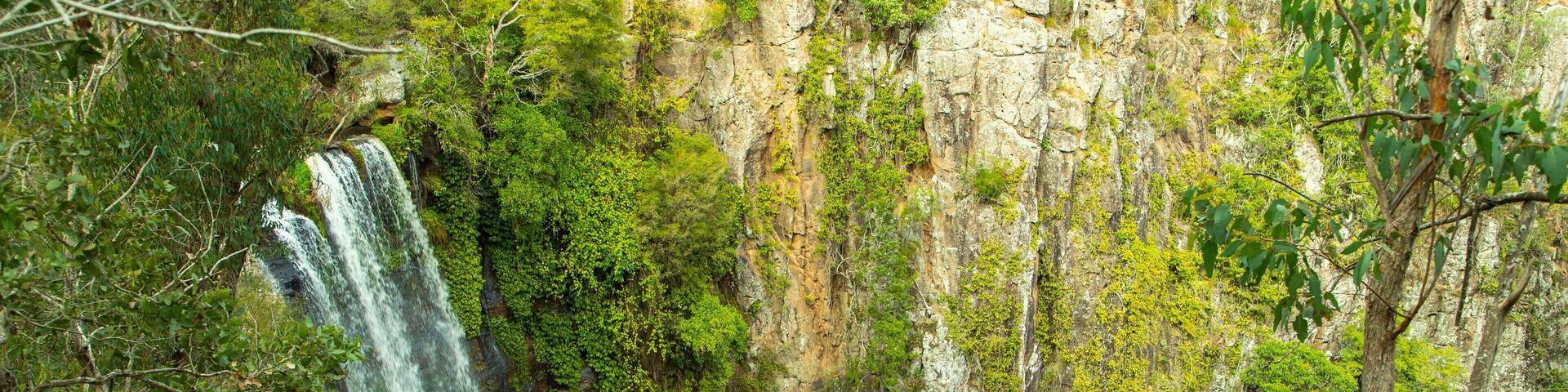 Queen Mary Falls featuring a waterfall and views as well as a couple