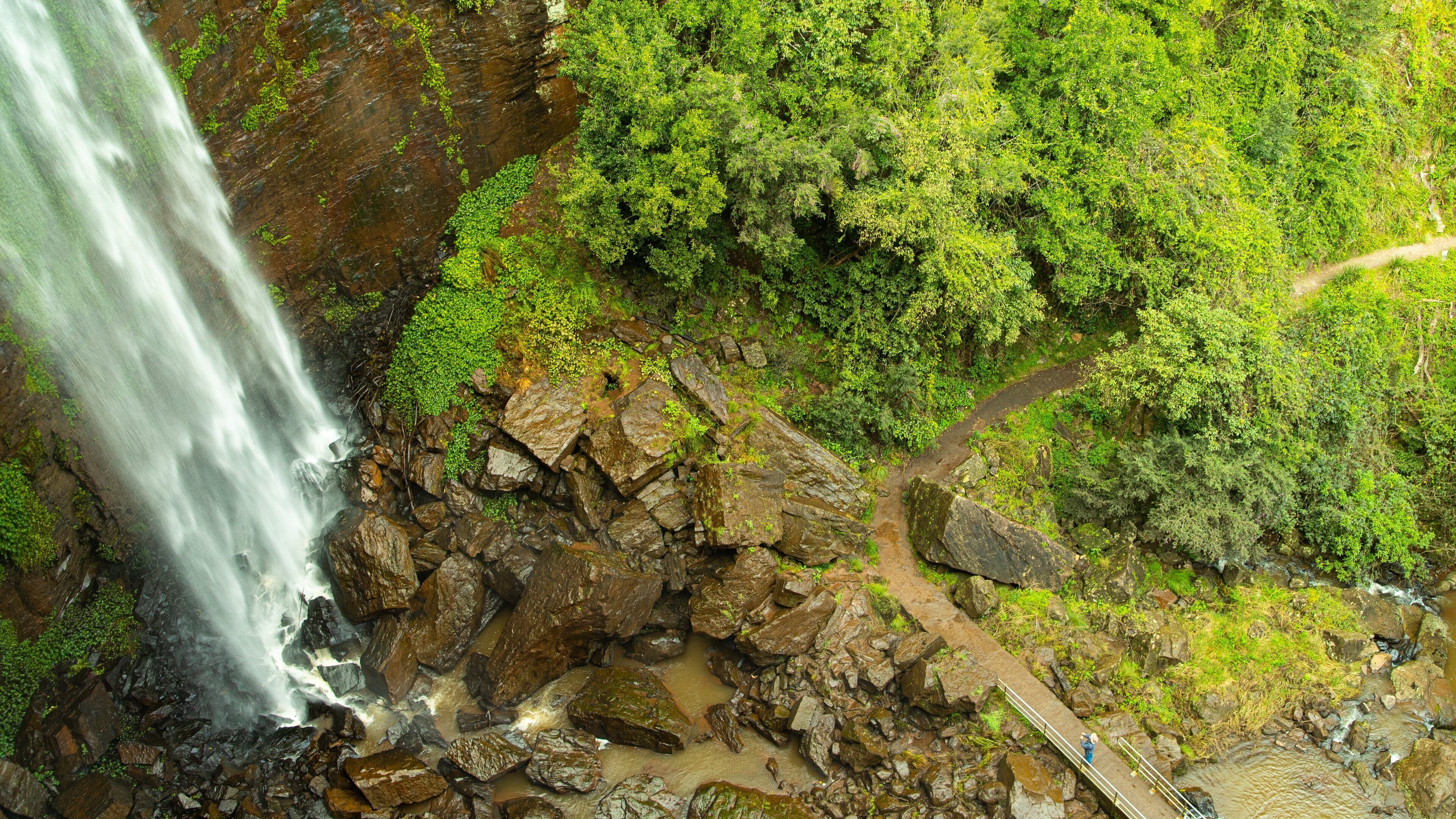Queen Mary Falls showing a waterfall
