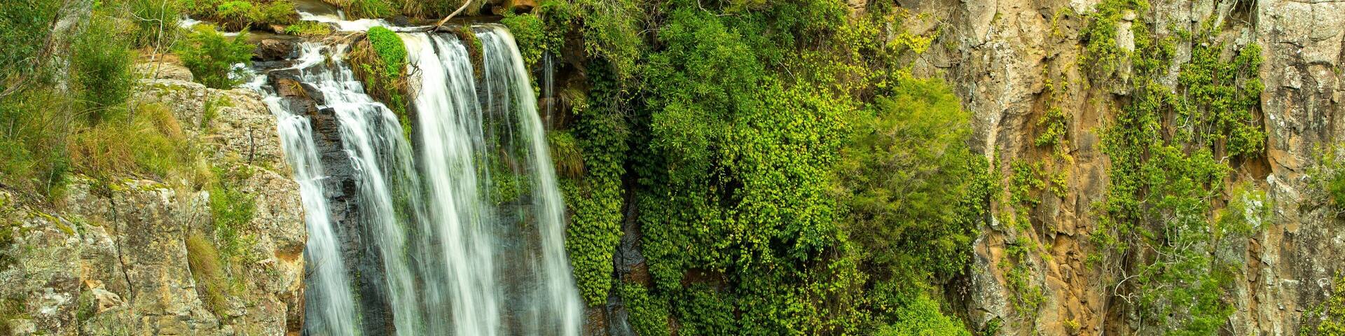 Queen Mary Falls which includes a waterfall and forests