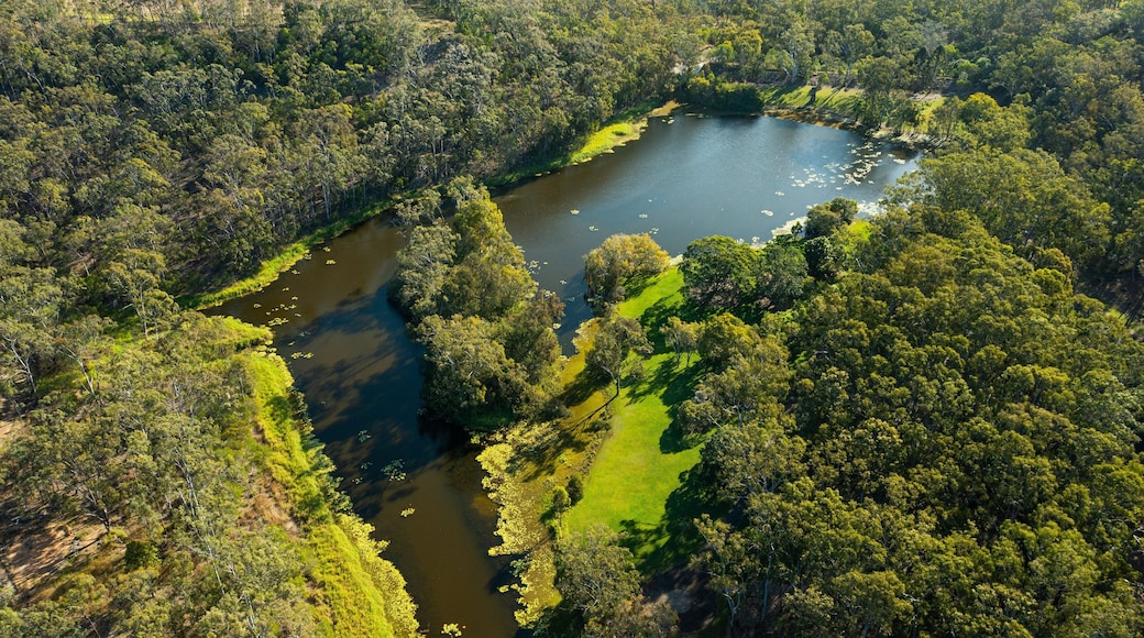 Capricorn Coast featuring tranquil scenes and a river or creek