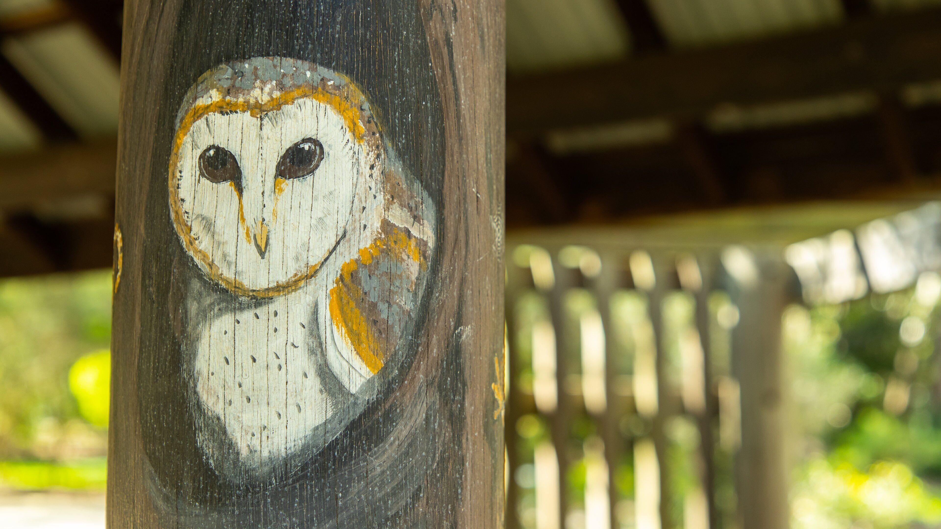 Tondoon Botanic Gardens featuring outdoor art