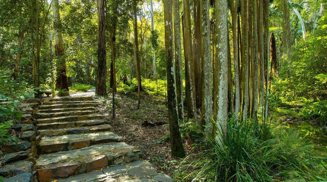Tondoon Botanic Gardens which includes a garden and forests