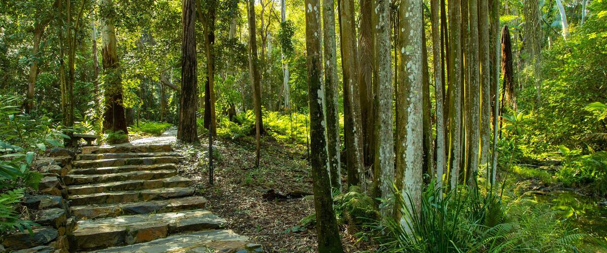 Tondoon Botanic Gardens which includes a garden and forests