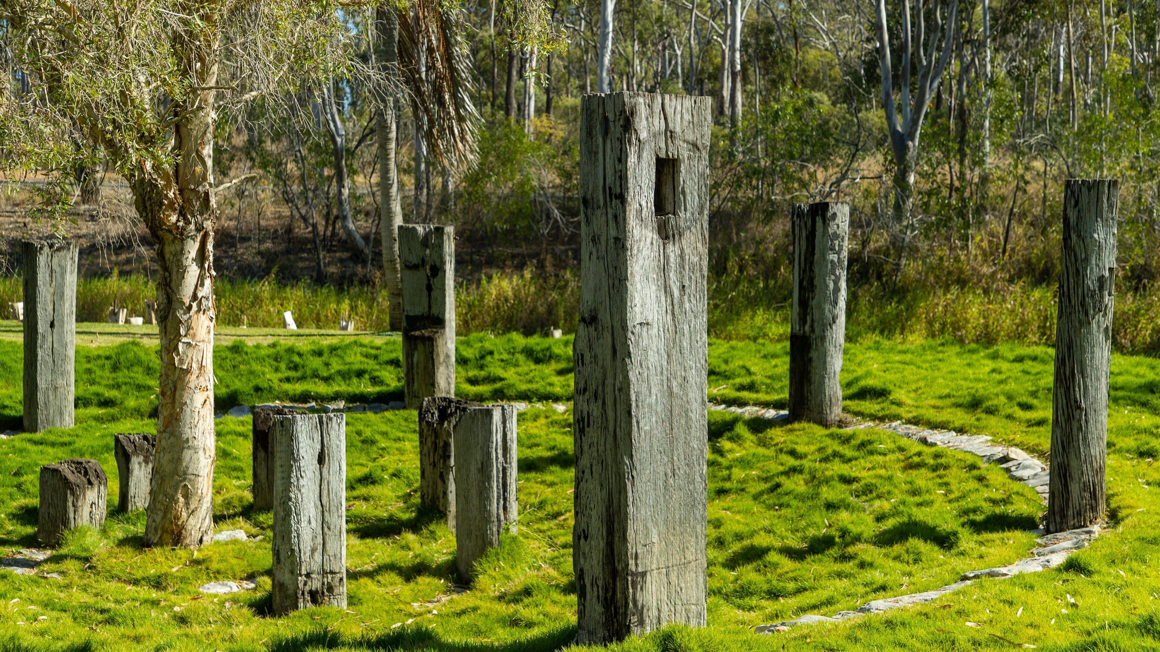 Tondoon Botanic Gardens featuring a garden