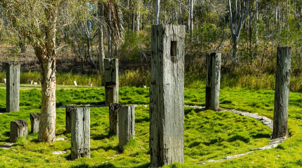 Tondoon Botanic Gardens featuring a garden