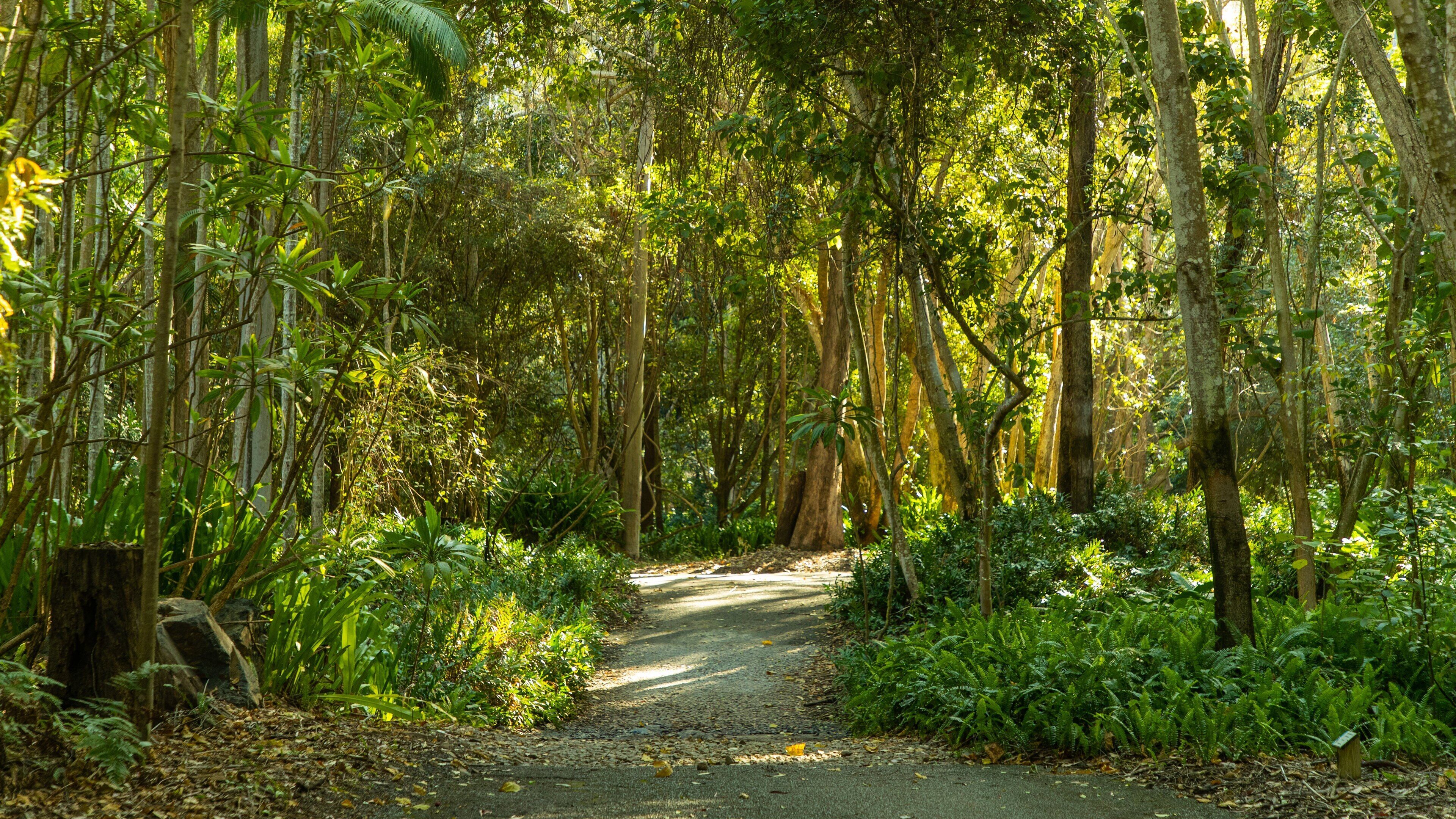 Tondoon Botanic Gardens featuring a garden and forests