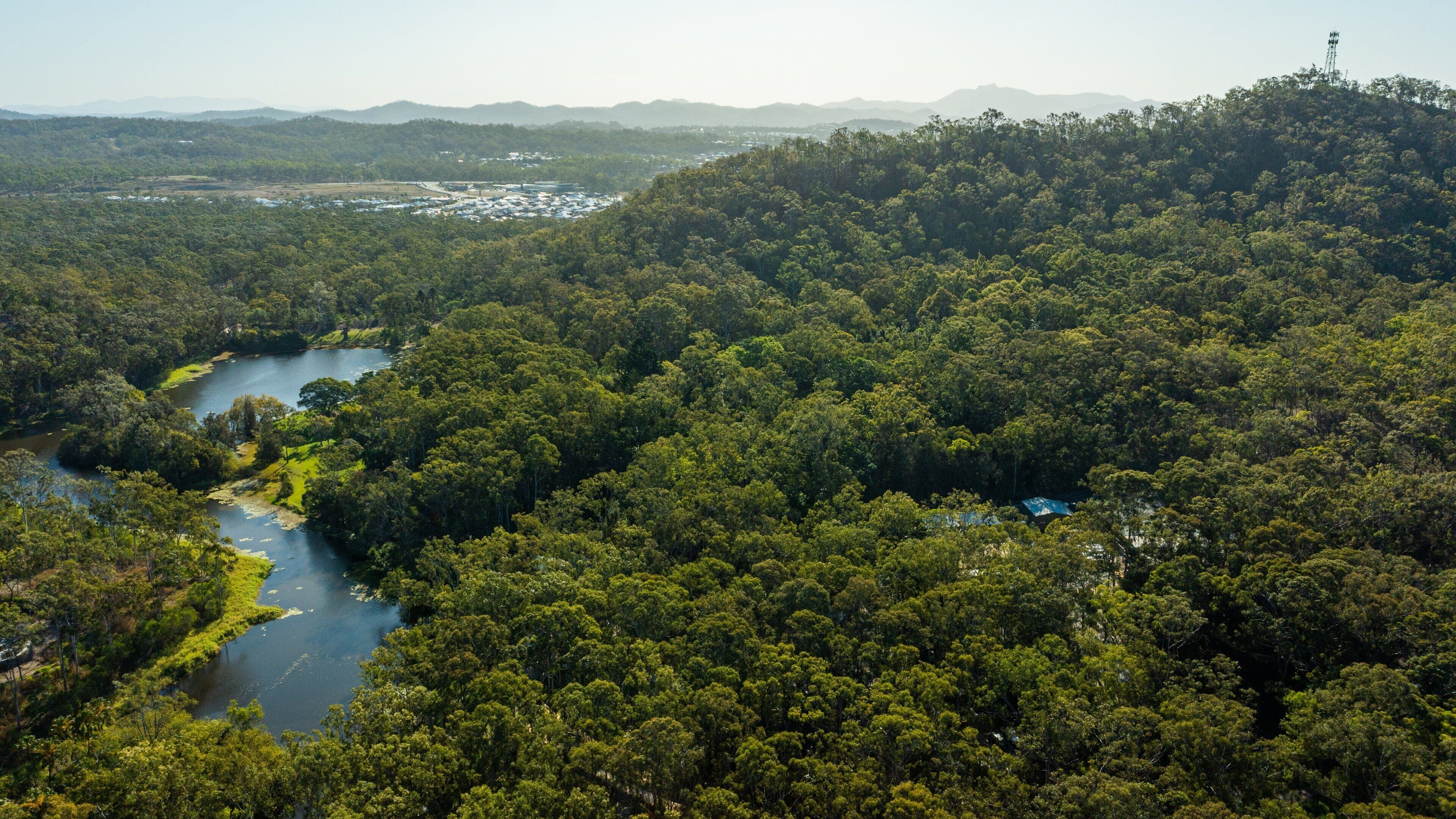 Tondoon Botanic Gardens which includes mountains, landscape views and a river or creek