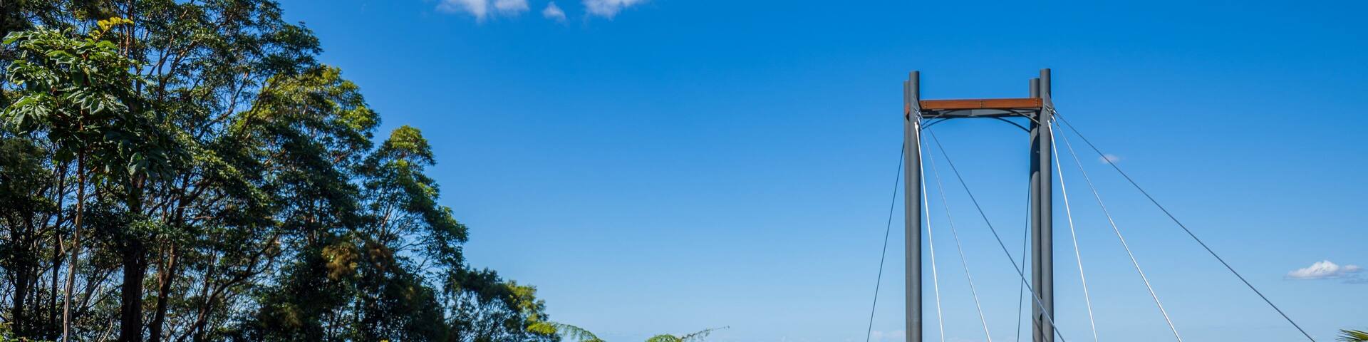 Forest Sky Pier featuring a bridge