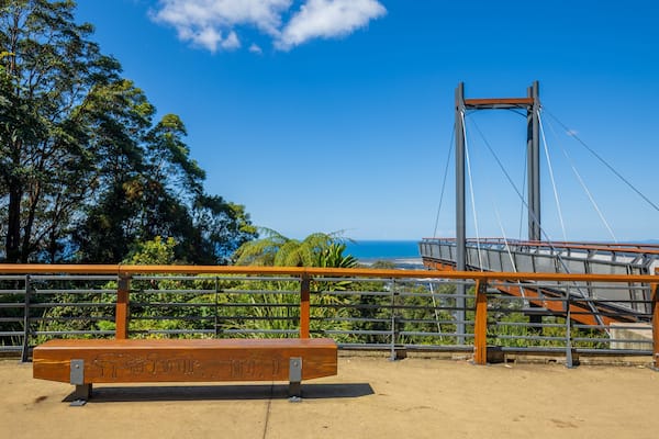 Forest Sky Pier featuring a bridge