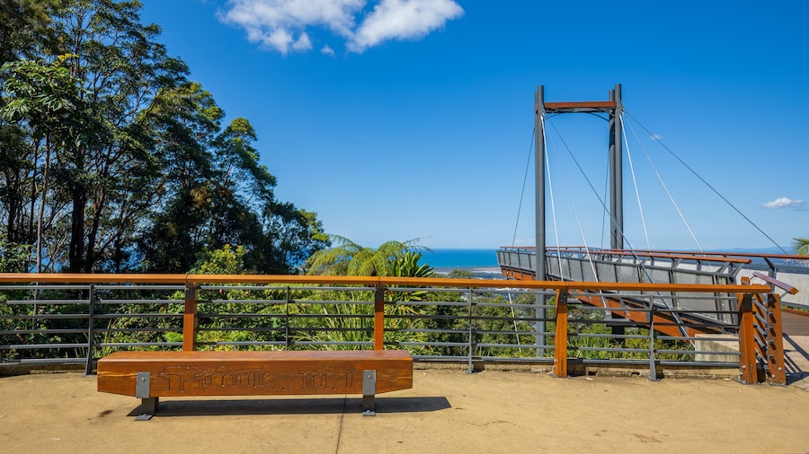 Forest Sky Pier featuring a bridge