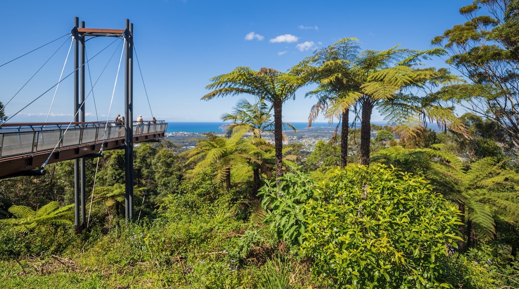 Forest Sky Pier featuring views