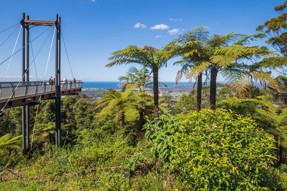 Un puente colgante con gente caminando, rodeado de vegetación exuberante y vistas al océano.