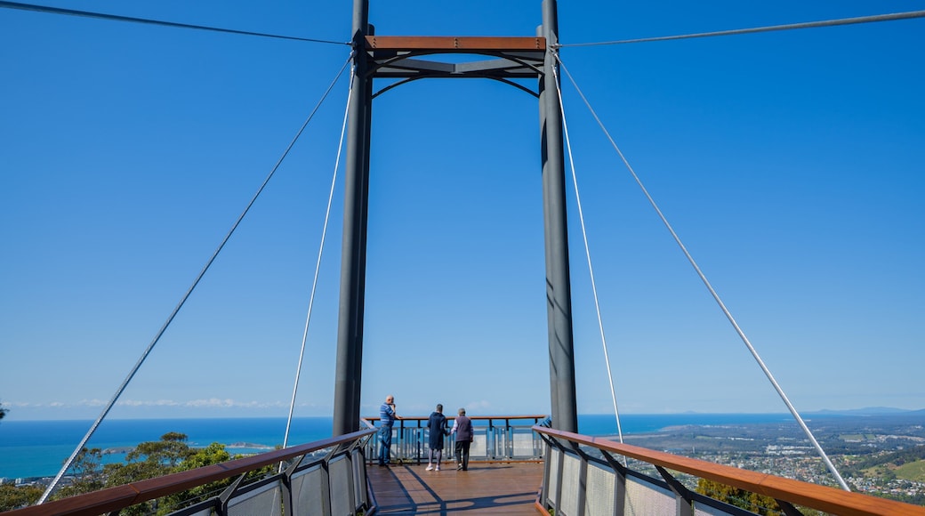 Forest Sky Pier showing views as well as a small group of people