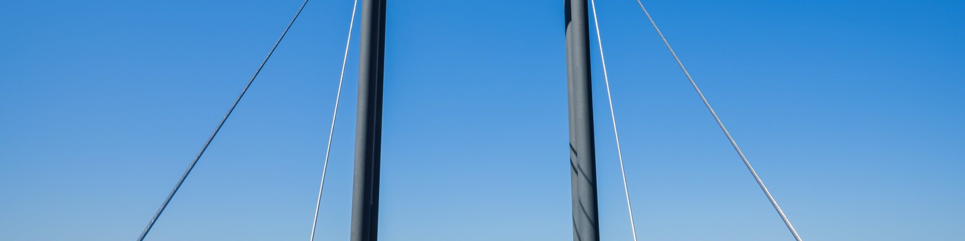 Forest Sky Pier showing views as well as a small group of people