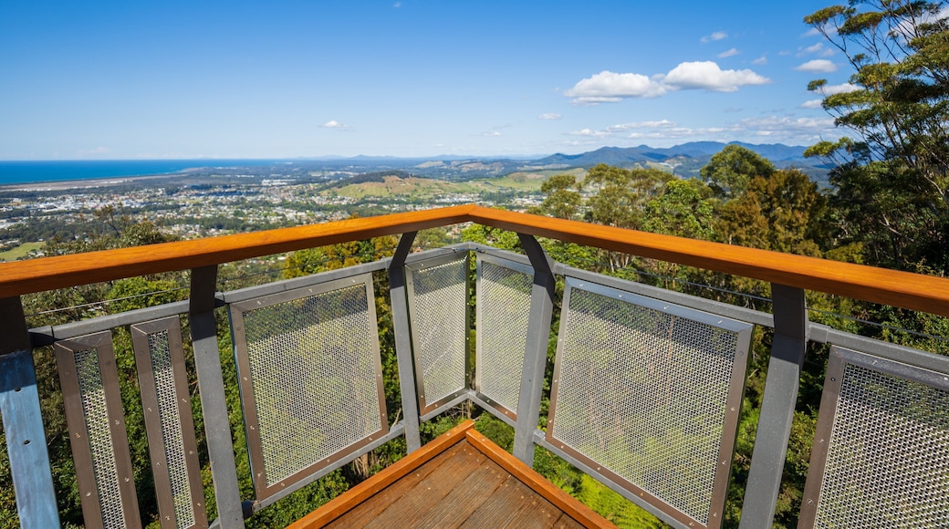 Forest Sky Pier featuring views and landscape views