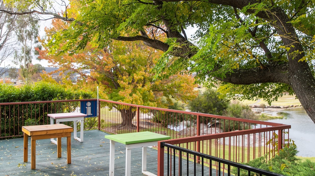 Stanthorpe Visitor Information Centre showing a garden and views