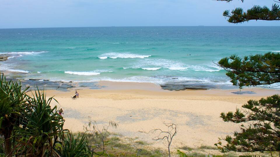 Una playa con olas, una orilla arenosa y algo de vegetación.