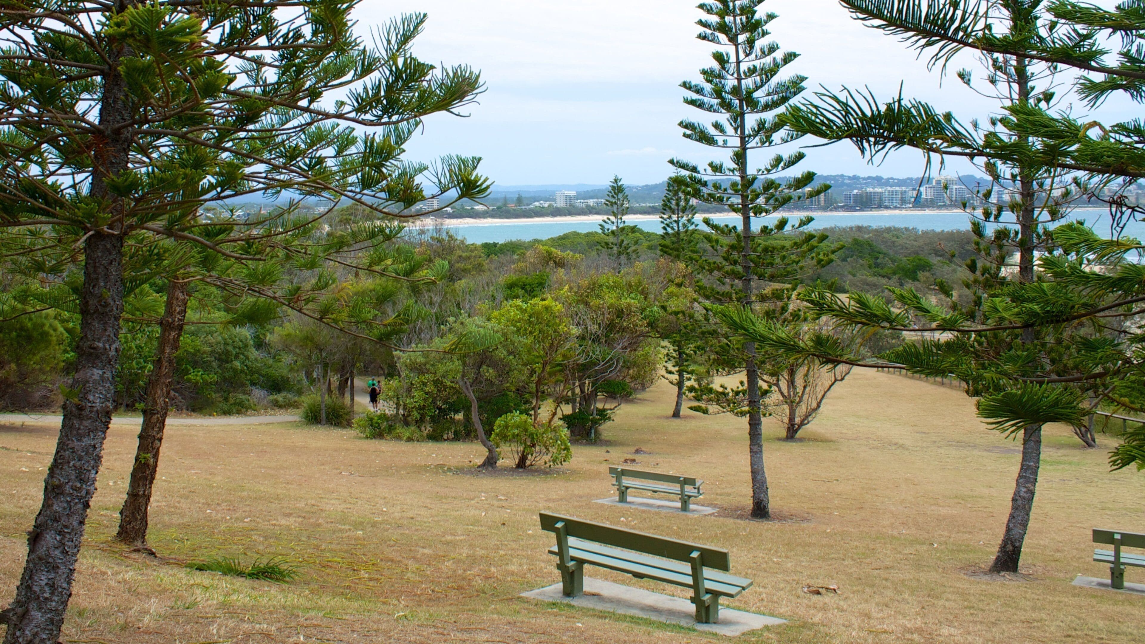 Mooloolaba showing a garden and general coastal views