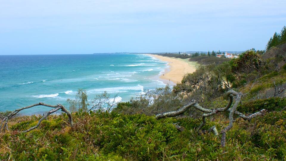 Un paisaje costero con playa arenosa, olas del océano y abundante vegetación.