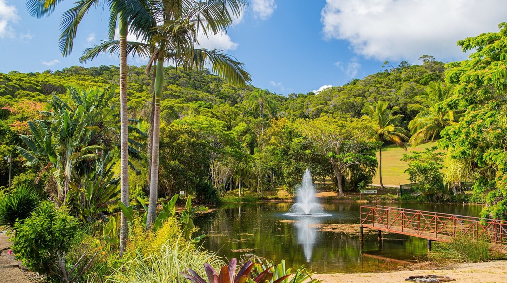 Rainforestation Nature Park showing a fountain and a pond