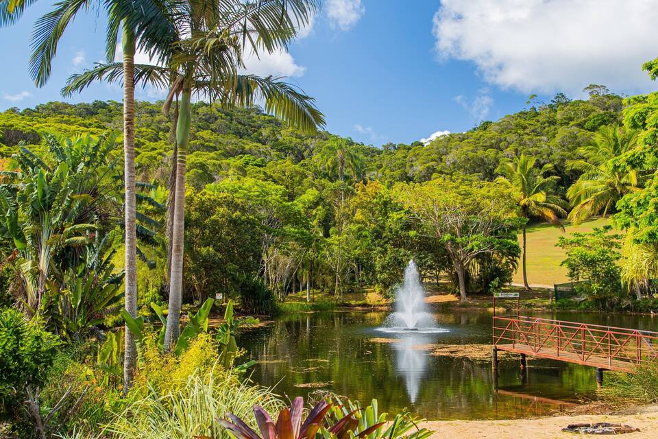 A lush tropical landscape with a pond, palm trees, and a red bridge.