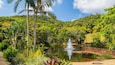 A lush tropical landscape with a pond, palm trees, and a red bridge.
