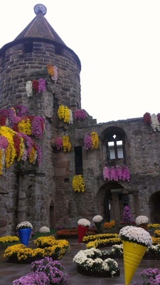 #culture..every year the city of Lahr in Germany's Blackforest blooms with flowers during the "Chrysanthema" Festival