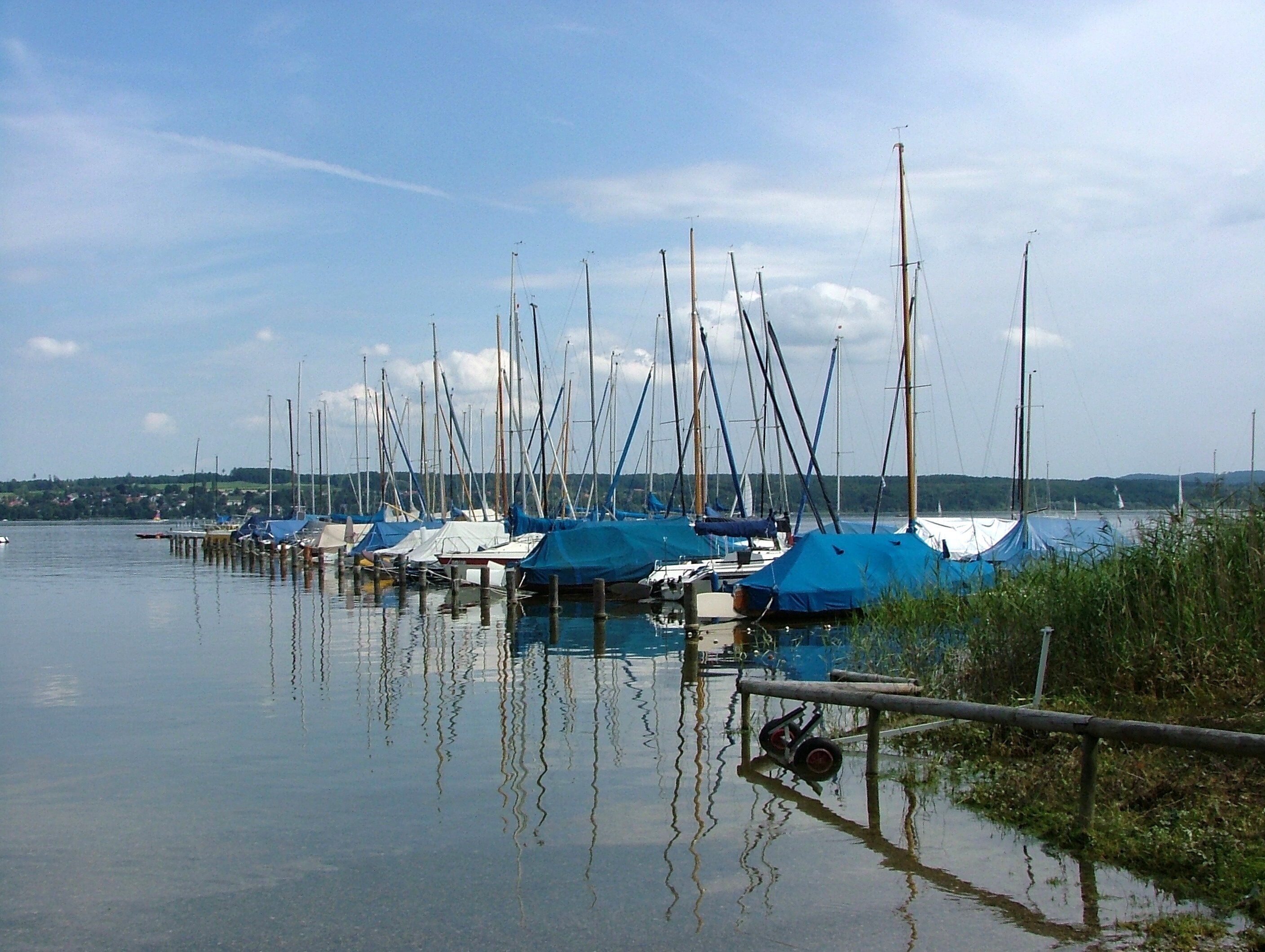A marina with multiple sailboats docked, calm water, and a distant shoreline with greenery.