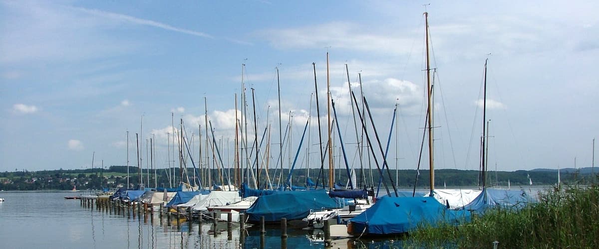 A marina with multiple sailboats docked, calm water, and a distant shoreline with greenery.
