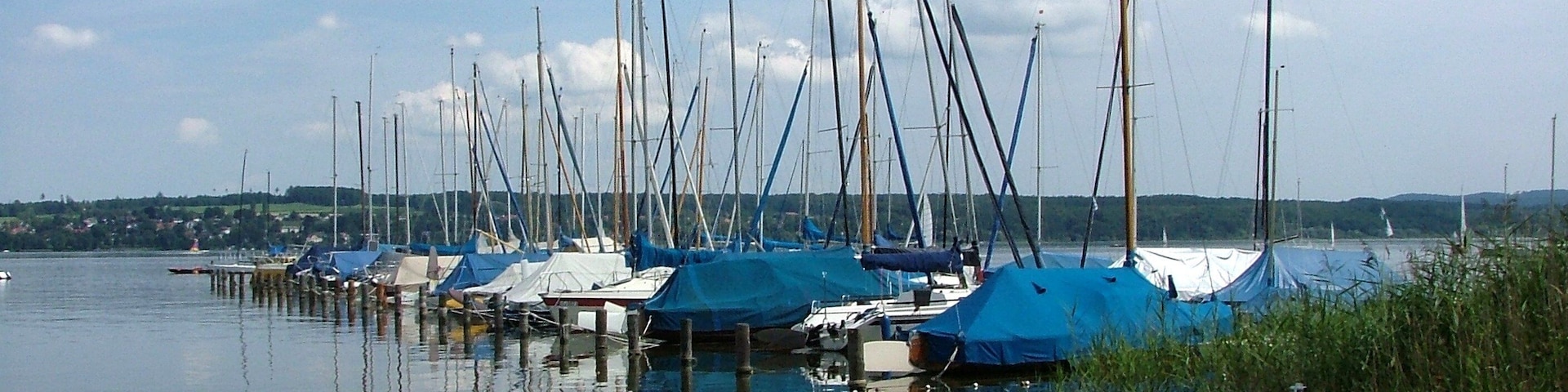 A marina with multiple sailboats docked, calm water, and a distant shoreline with greenery.