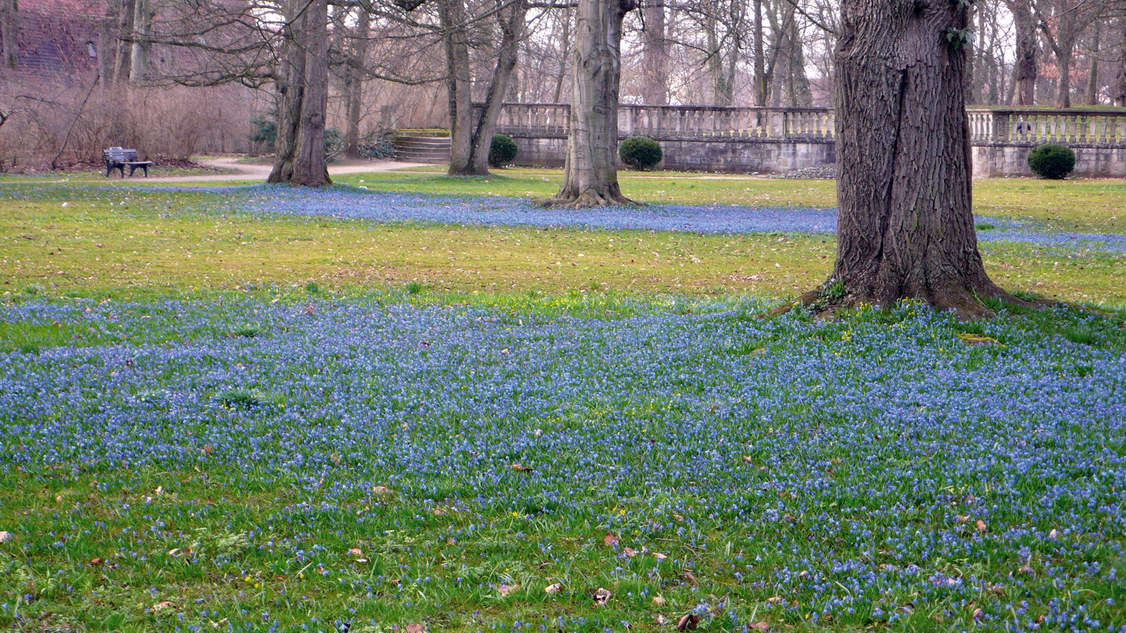Residenz Ellingen featuring wildflowers and a park